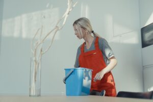 Hoćemo li u budućnosti čistiti kuću?