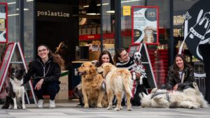 Pet centar i partneri - zbrinjavanje ambalaže