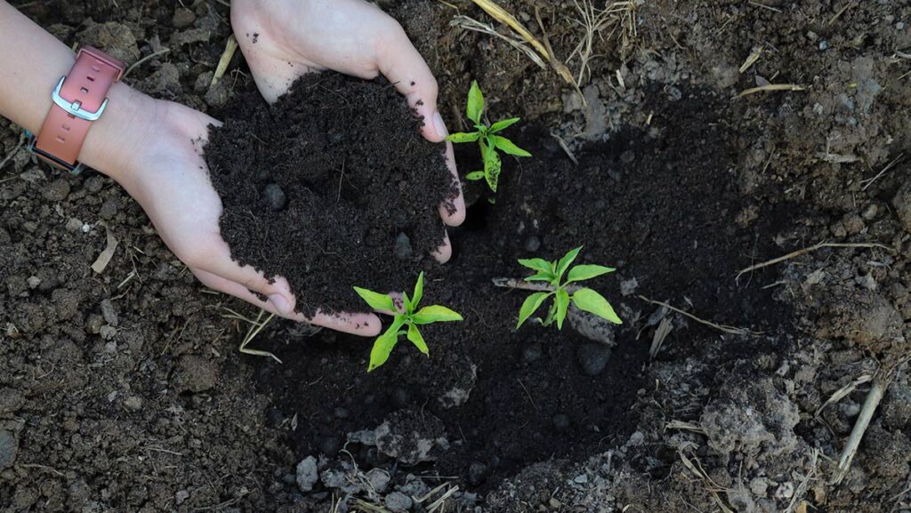 Hrvatska prvi put u kampanji #PlantHealth4Life!