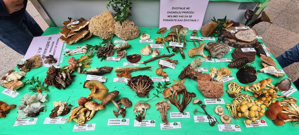 Jesenska izložba gljiva na Korzu u Rijeci