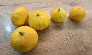 Mandarina kao simbol sreće, blagostanja i dugovječnosti