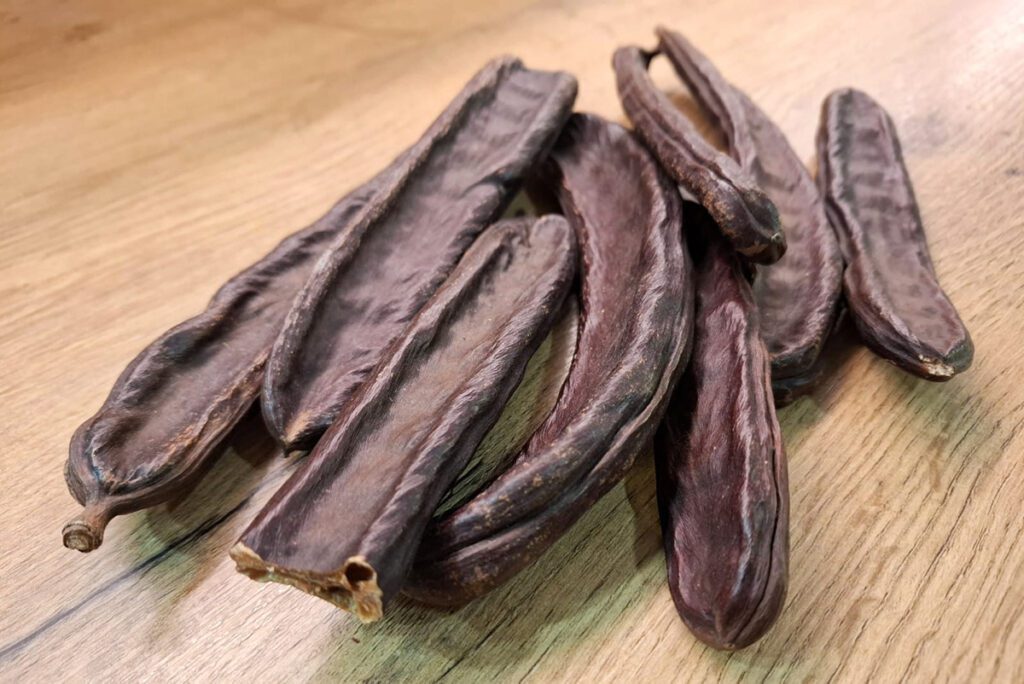 Rogač – dragocjeno nasljeđe Mediterana kao simbol održivosti, zdravlja i tradicije