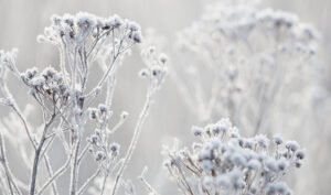 Hygge ili kako Danci rješavaju Zimski blues?