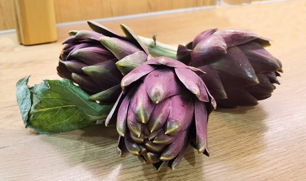 Artičoke - zeleno blago Mediterana