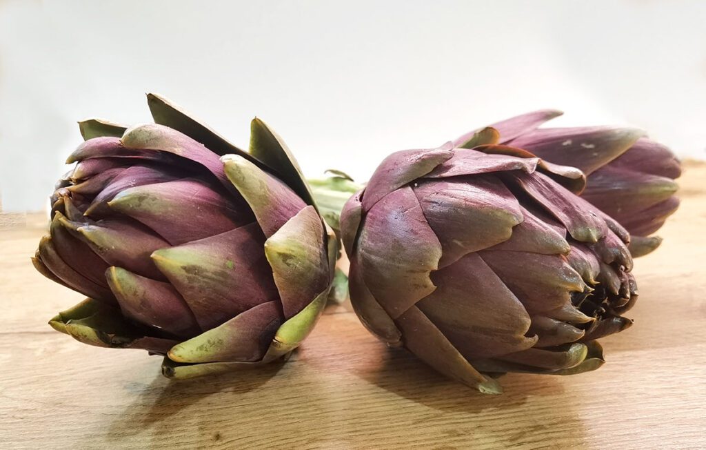 Artičoke - zeleno blago Mediterana