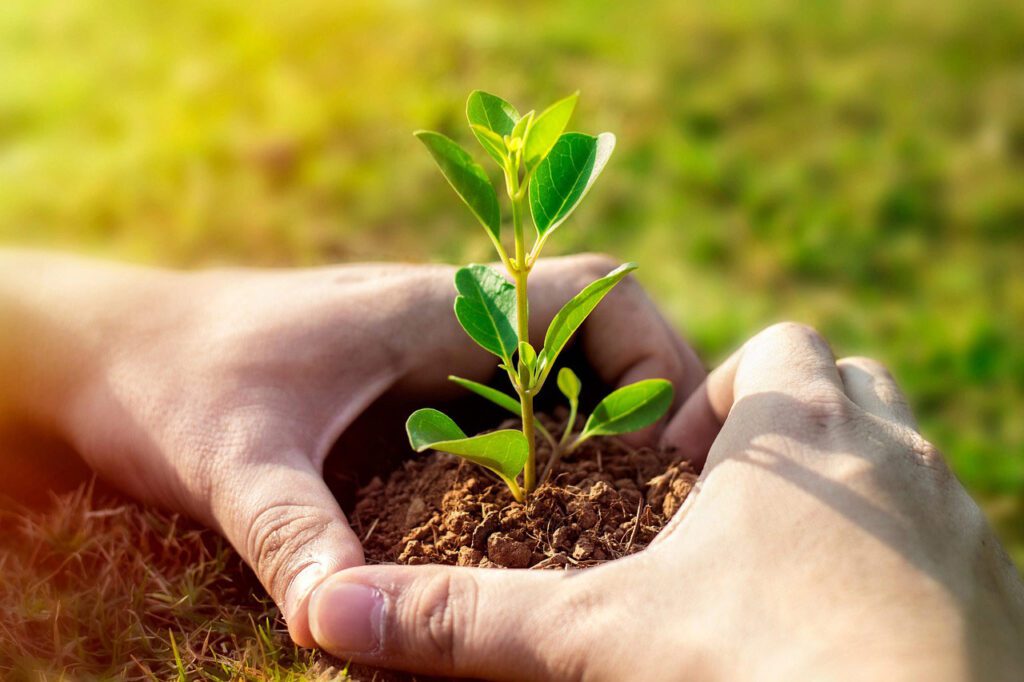 Treća godina kampanje #PlantHealth4Life u Hrvatskoj